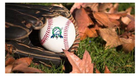 T-Ball & Coach Pitch Divsions Have Openings Remaining